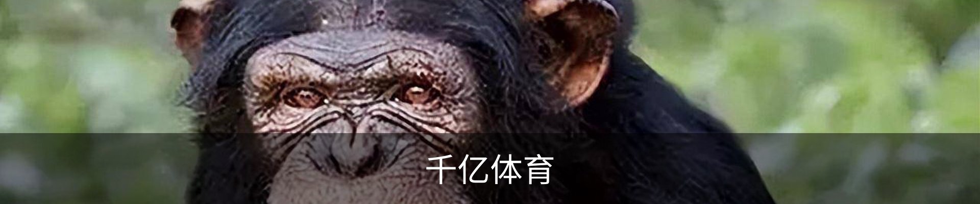 千亿体育