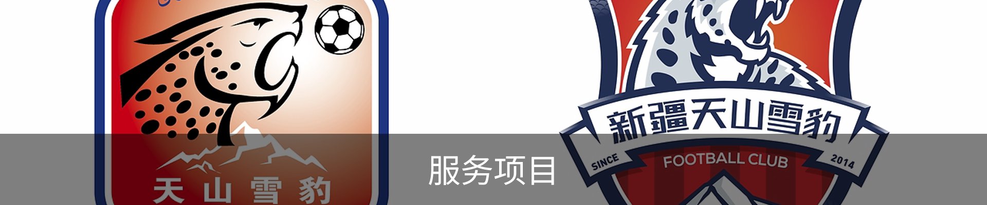 服务项目